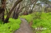 31 Horn Drive, Happy Valley, SA 5159-Image