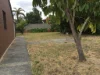 31 Hunter Way, Padbury, WA 6025-Image