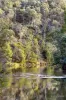 31 Hutchinson Avenue, Warrandyte, Vic 3113-Image