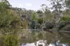31 Hutchinson Avenue, Warrandyte, Vic 3113-Image
