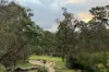 31 Hutchinson Avenue, Warrandyte, Vic 3113-Image
