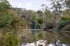 31 Hutchinson Avenue, Warrandyte, Vic 3113-Image