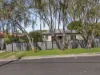 31 Idolwood Street, Eastern Heights, Qld 4305-Image