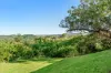 31 Jocelyn Drive, Eumundi, Qld 4562-Image