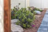 31 Kimberley Drive, Secret Harbour, WA 6173-Image