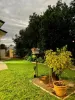 31 Lancaster Street, Garbutt, Qld 4814-Image