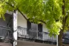 31 Lansdowne Street, Surry Hills, NSW 2010-Image