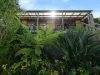 31 Lawry Heights, St Helens, Tas 7216-Image