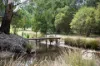 31 Lesley Close, Nyora, Vic 3987-Image