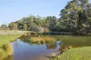 31 Lockheeds Road, Little Hampton, Vic 3458-Image
