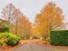 31 Lockheeds Road, Little Hampton, Vic 3458-Image