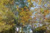 31 Lockheeds Road, Little Hampton, Vic 3458-Image