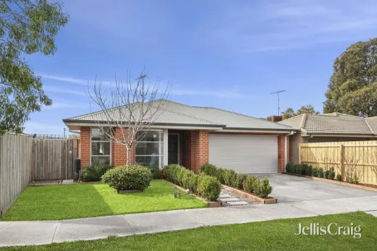 31 Macfarlane Street, Marshall, Vic 3216