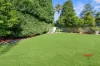 31 Malvern Avenue, Roseville, NSW 2069-Image
