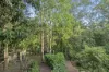 31 Mangaroon Court, Shailer Park, Qld 4128-Image