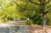 31 Marsden Street, Dickson, ACT 2602-Image