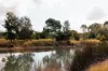 31 Marsden Street, Dickson, ACT 2602-Image