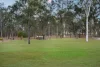 31 McHale Way, Willowbank, Qld 4306-Image