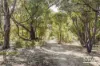 31 Mckenzie Road, Samson, WA 6163-Image