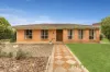 31 McKenzie Street, Kambah, ACT 2902-Image