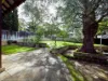 31 Minora Road, Dalkeith, WA 6009-Image