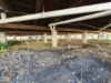 31 Mitchell Street, Monto, Qld 4630-Image