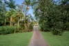 31 Mooloolah Meadows Drive, Mooloolah Valley, Qld 4553-Image