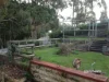 31 Myrtle Crescent, Emu Heights, Tas 7320-Image