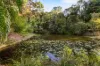 31 Northmount Road, Federal, Qld 4568-Image