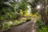 31 Northmount Road, Federal, Qld 4568-Image