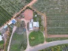 31 Old Cooltong Avenue, Renmark, SA 5341-Image