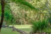 31 Pacific View Drive, Tinbeerwah, Qld 4563-Image