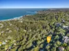 31 Palmgrove Road, Avalon Beach, NSW 2107-Image