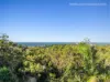 31 Palmgrove Road, Avalon Beach, NSW 2107-Image