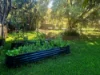 31 Pearce Avenue, Goonellabah, NSW 2480-Image