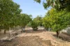 31 Pentecost Avenue, Beechboro, WA 6063-Image
