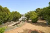 31 Pentecost Avenue, Beechboro, WA 6063-Image