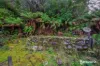 31 Preston Street, Queenstown, Tas 7467-Image