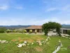31 Pulpit Rock Rd, New Norfolk, Tas 7140-Image