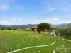 31 Pulpit Rock Rd, New Norfolk, Tas 7140-Image