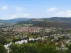 31 Pulpit Rock Rd, New Norfolk, Tas 7140-Image