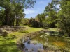 31 Rainford Drive, Boambee, NSW 2450-Image