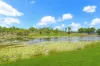 31 Redmond Crescent, Durack, NT 0830-Image