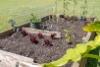 31 Sanctuary Crescent, Wongaling Beach, Qld 4852-Image