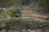 31 Shiloh Court, Pine Mountain, Qld 4306-Image