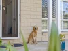 31 Sweetapple Place, Manly West, Qld 4179-Image