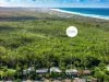 31 Tamarind Avenue, Bogangar, NSW 2488-Image