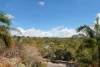 31 The Crescent, Linley Point, NSW 2066-Image