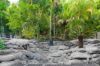 31 Thrush Terrace, Clifton Beach QLD 4879-Image