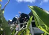 31 Wall Street, Eimeo, Qld 4740-Image
